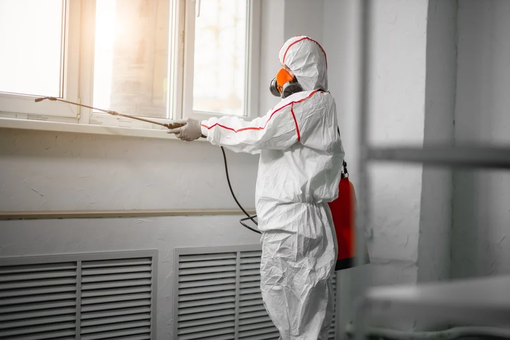 Professional mold remediation services in Cedar Park, TX